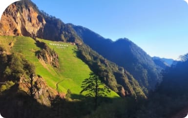 土地整治、生态修复与地灾防治、 自然腾龙国际平台置业