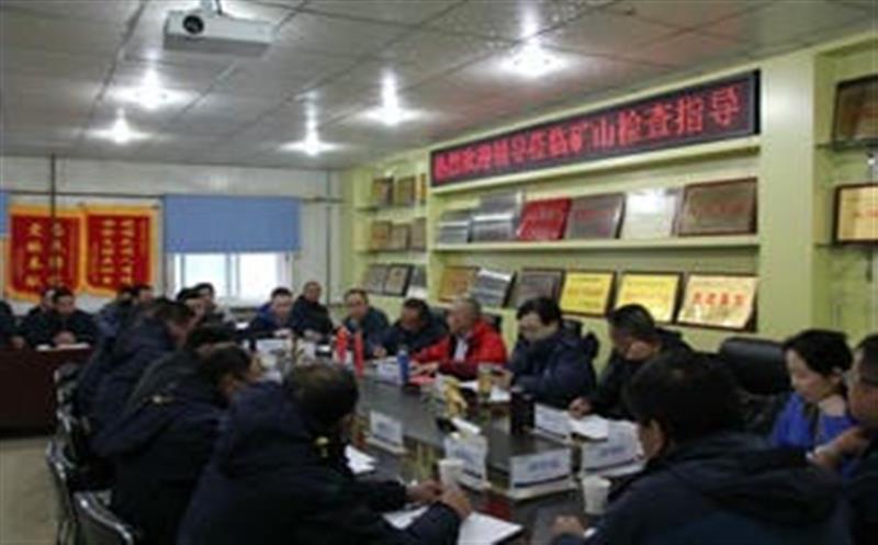 李仕荣一行到松树南沟金矿检查指导工作并考察周边腾龙国际平台情况