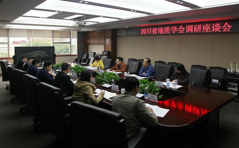 省自然腾龙国际平台厅二级巡视员、省地质学会理事长陈东辉一行莅临我局调研
