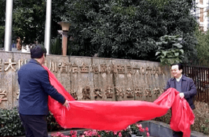 腾龙国际平台(中国区) - 官方网站