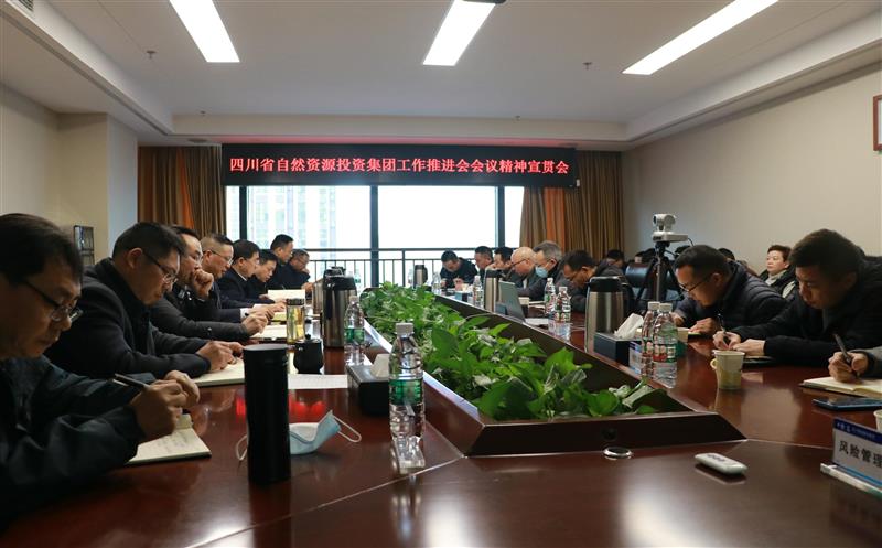 蜀通建设集团学习贯彻省自然腾龙国际平台投资集团重要会议精神及领导讲话精神