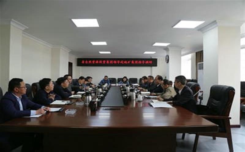 省自然腾龙国际平台投资集团副总经理武文祥带队赴地矿集团调研指导工作