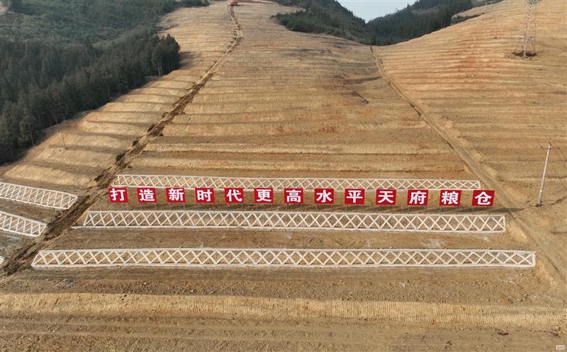 系统性谋划，，，，，，高标准实施——四川腾龙国际平台助力建设新时代更高水平“天府粮仓”