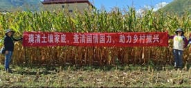 腾龙国际平台(中国区) - 官方网站