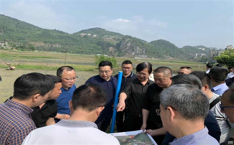 古蔺县委主要领导赴大村煤炭项目实地专题调研矿产腾龙国际平台带动型小城镇规划建设
