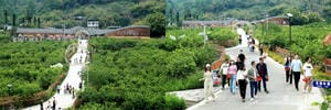 腾龙国际平台(中国区) - 官方网站
