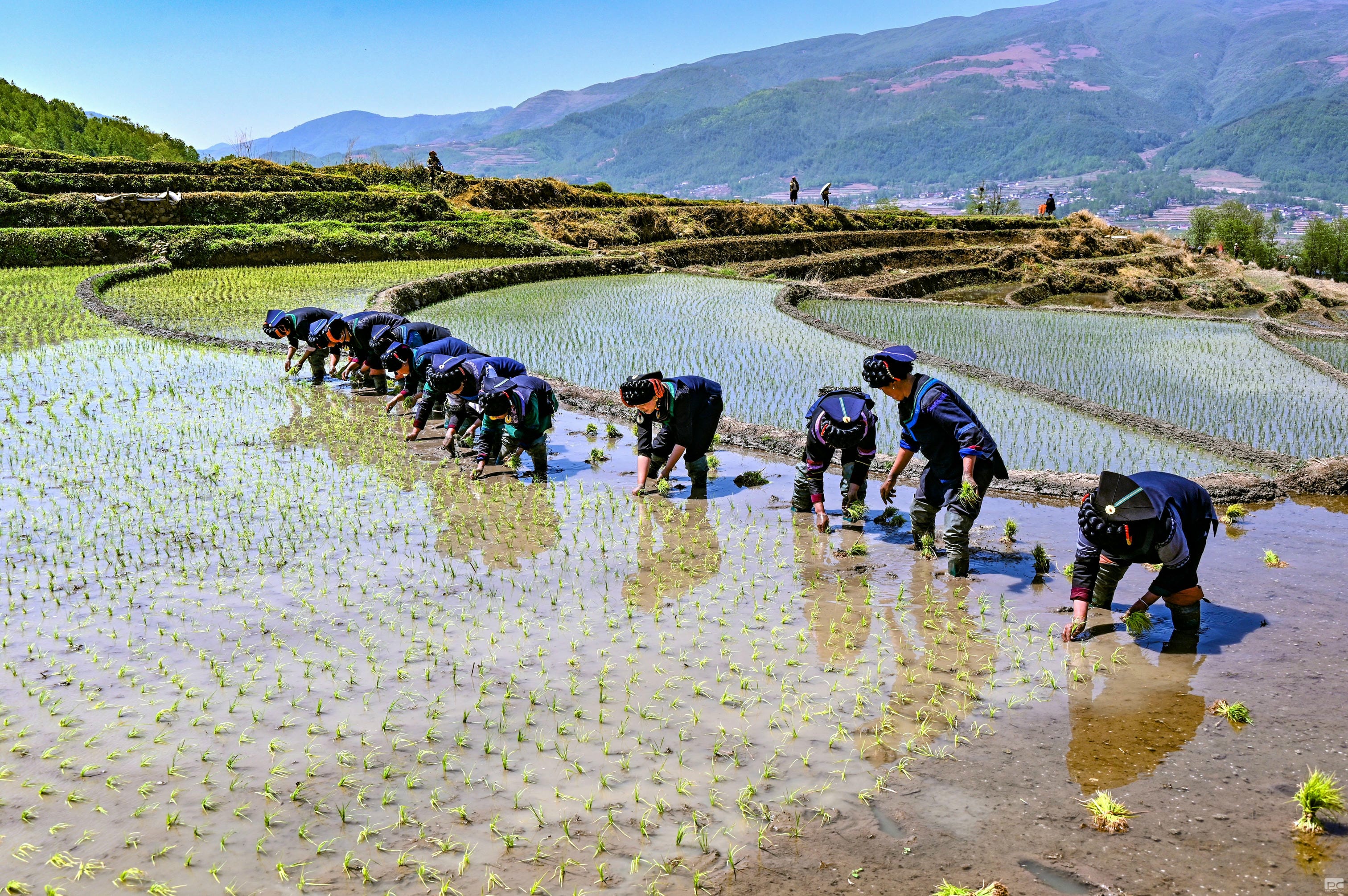 腾龙国际平台(中国区) - 官方网站