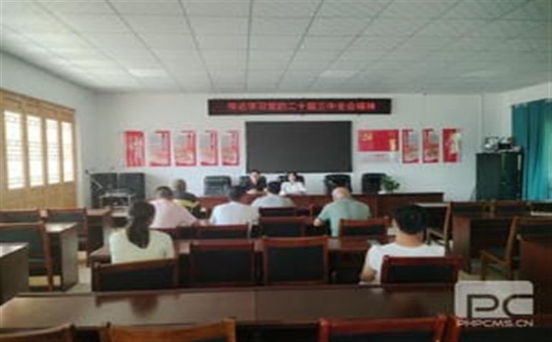 学习党的二十届三中全会精神，，，，，华锋钻探助力乡村振兴新征程