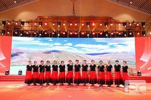 腾龙国际平台(中国区) - 官方网站