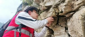 腾龙国际平台(中国区) - 官方网站
